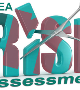 Risk assessment: FMEA tool